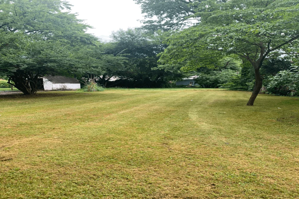 Lawn Mowing Job for Buchanan, Michigan