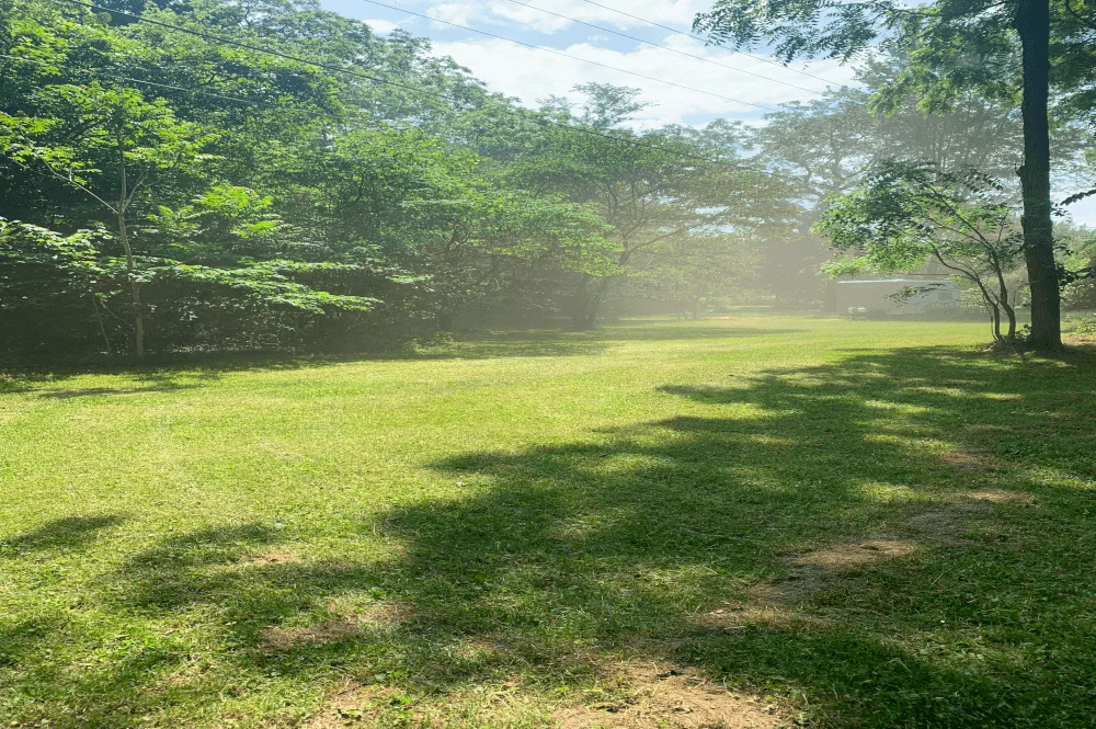Lawn Mowing Job for Niles, Michigan