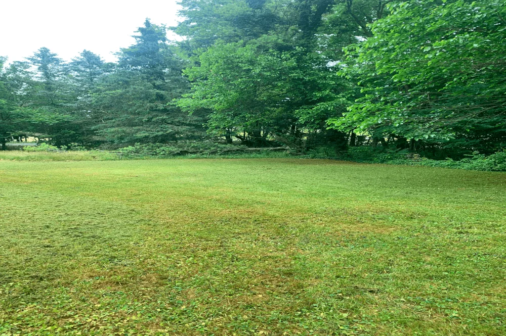 Lawn Mowing Job for Galien, Michigan