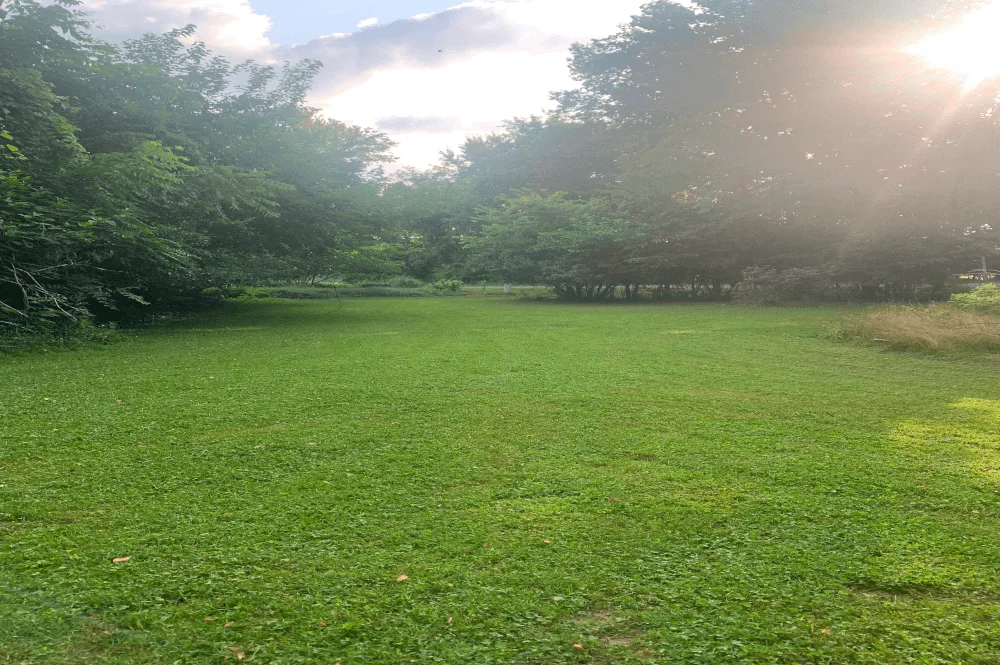 Lawn Mowing Job for Buchanan, Michigan