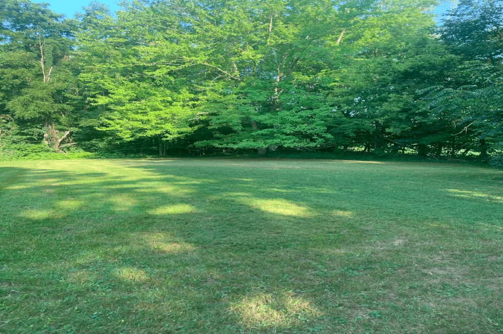 Lawn Mowing Job for Niles, Michigan